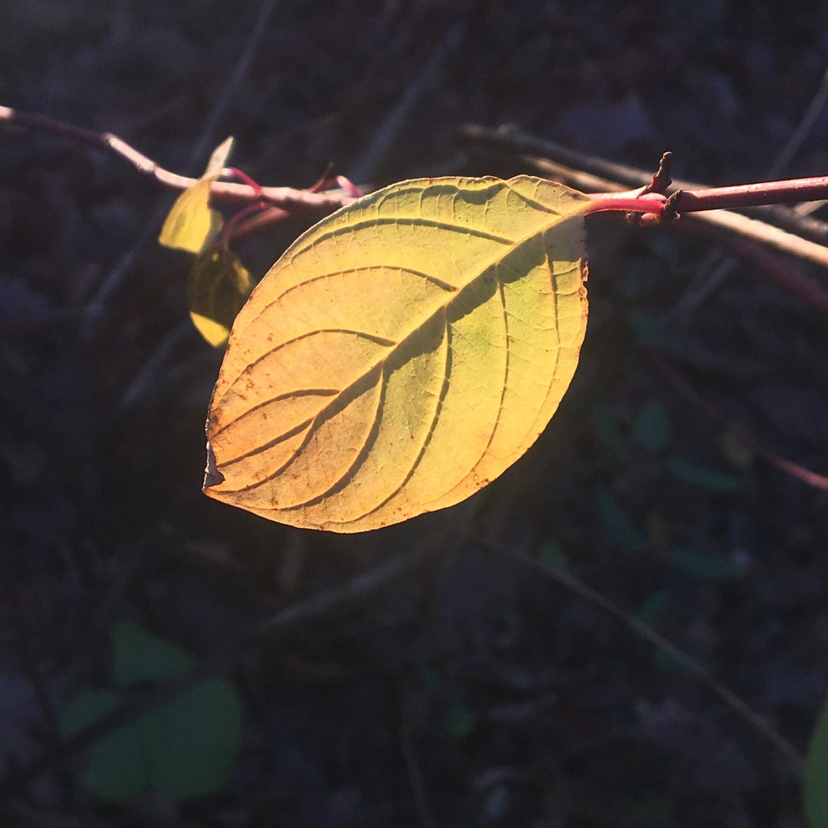 Wie bunt ist Deine&nbsp;Welt?