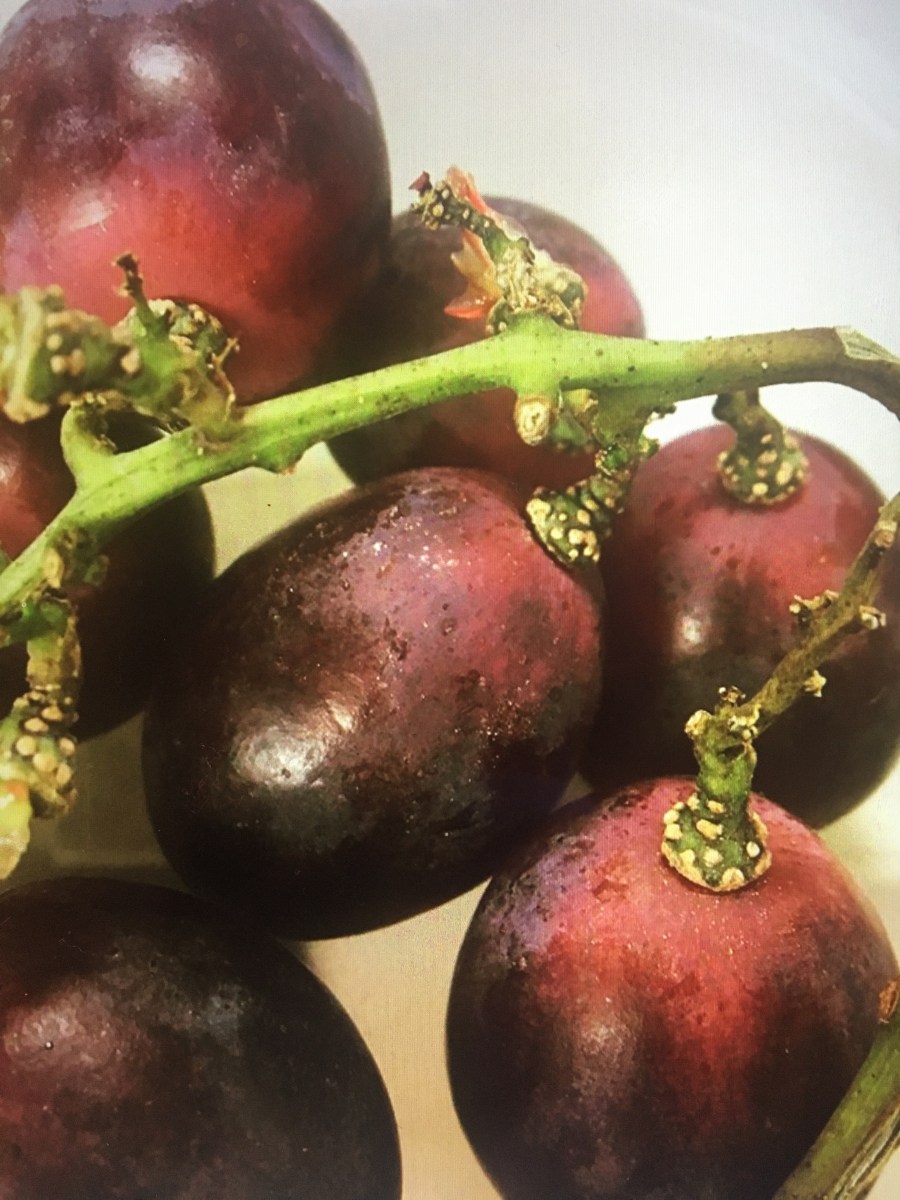 Tricks um wieder beschwerdenfrei zu&nbsp;essen