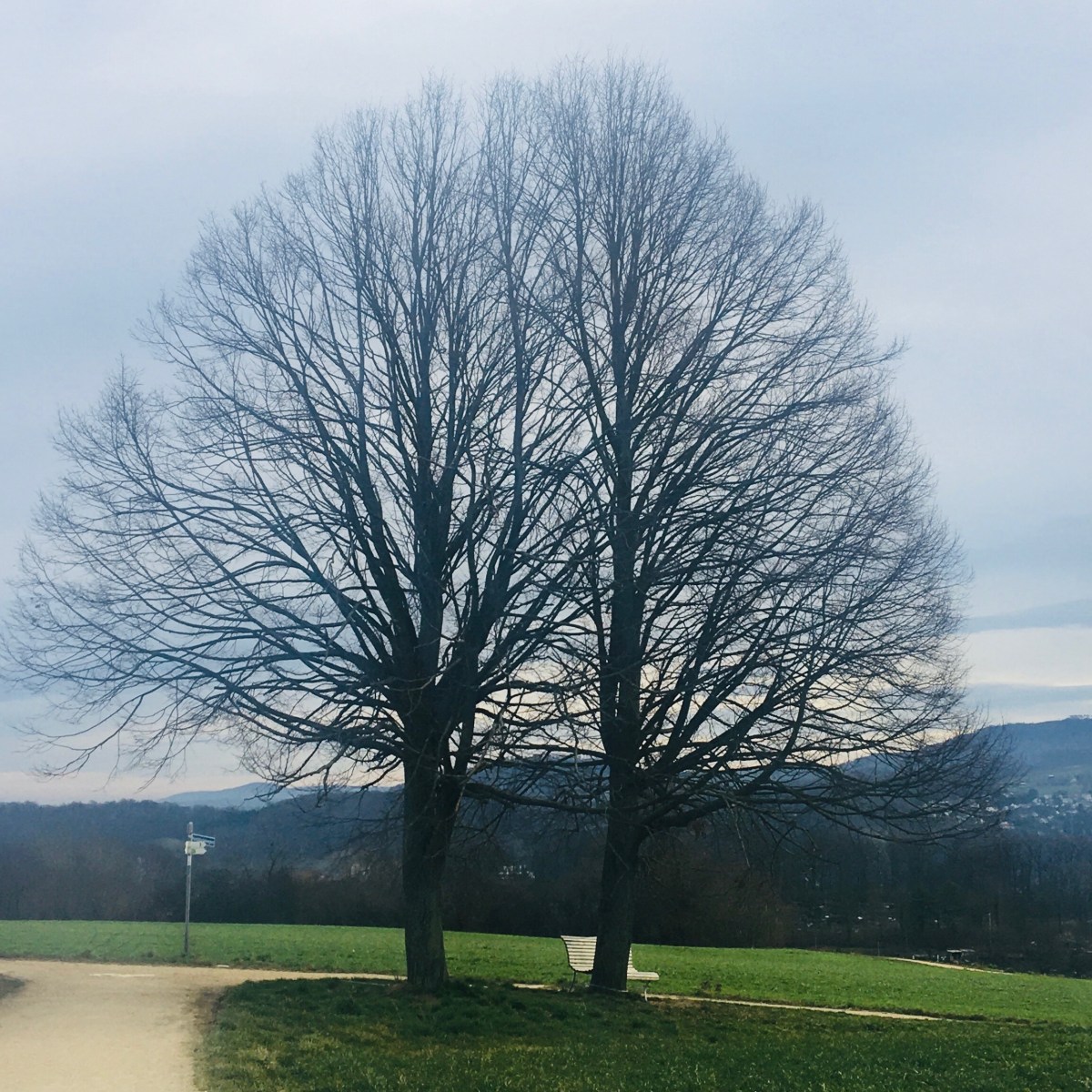 Das Positive sehen – auch in Zeiten des Kontrollverlusts