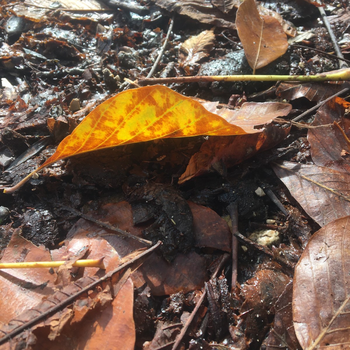 Was könntest Du jetzt loslassen, was Dir nicht mehr&nbsp;dient?