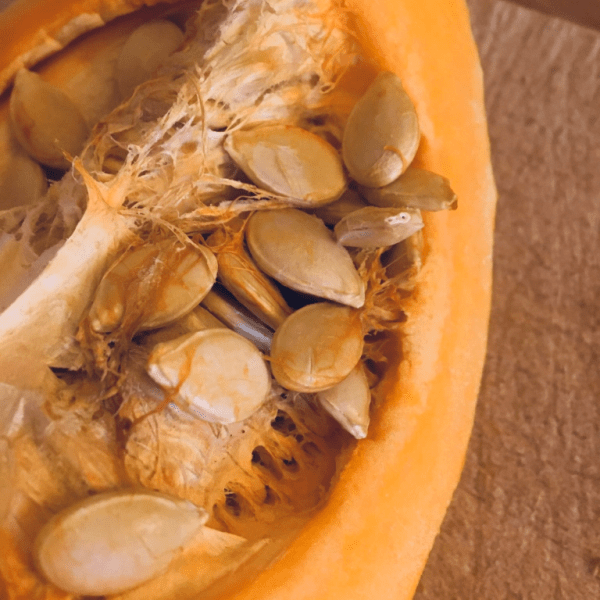 Kürbis – Rote Bete Taler mit Linsen&nbsp;Polenta