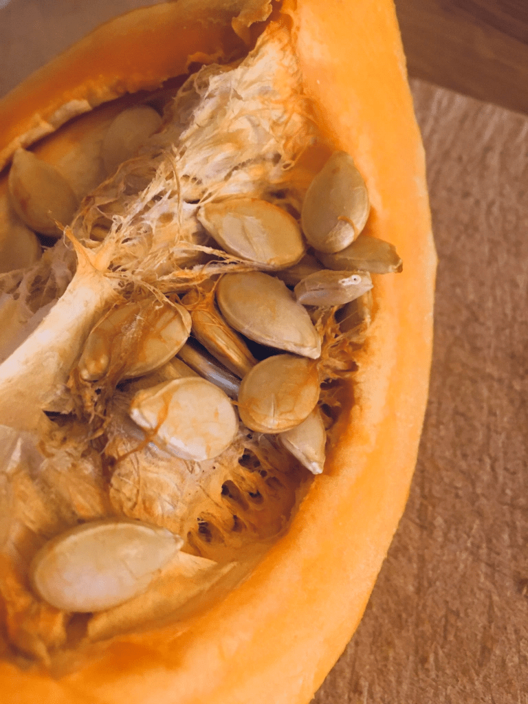 Hokaido Kürbis mit Kernen