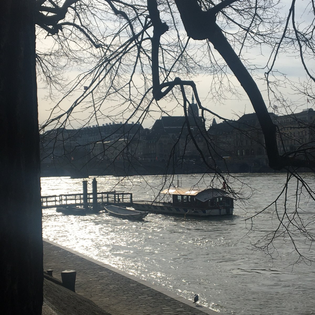 Ich liebe Stille, sie bietet so viele kleine und grosse&nbsp;Unterhaltungen!