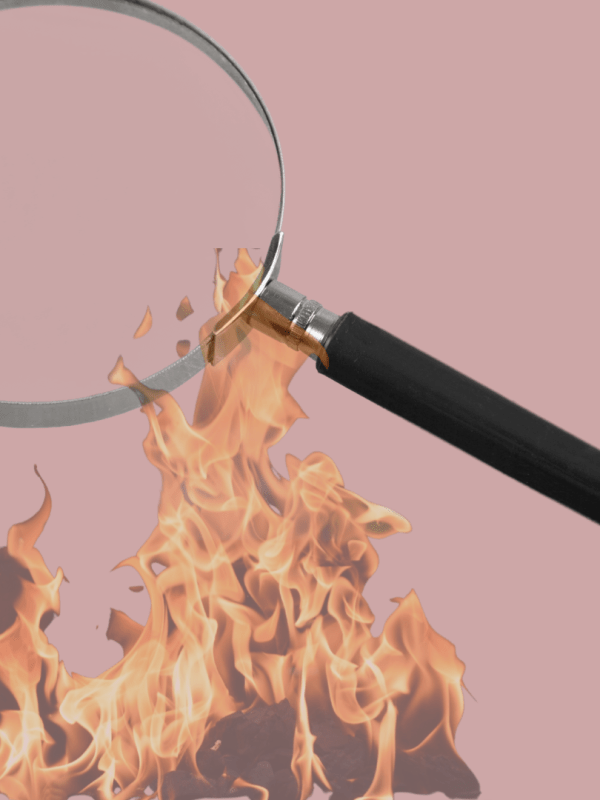 Podcastfolge #24                                                      Pitta unter die Lupe&nbsp;genommen