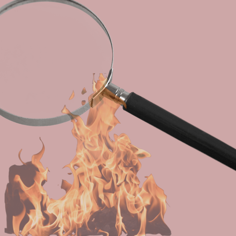 Podcastfolge #24                                                      Pitta unter die Lupe&nbsp;genommen