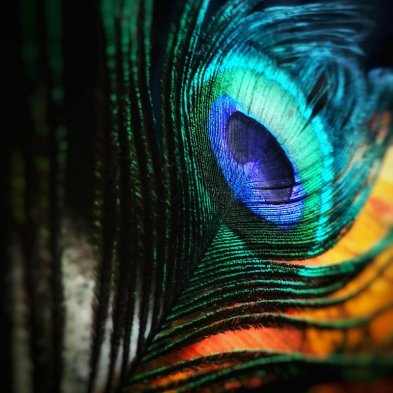 Der eine Satz, mein Game&nbsp;Changer